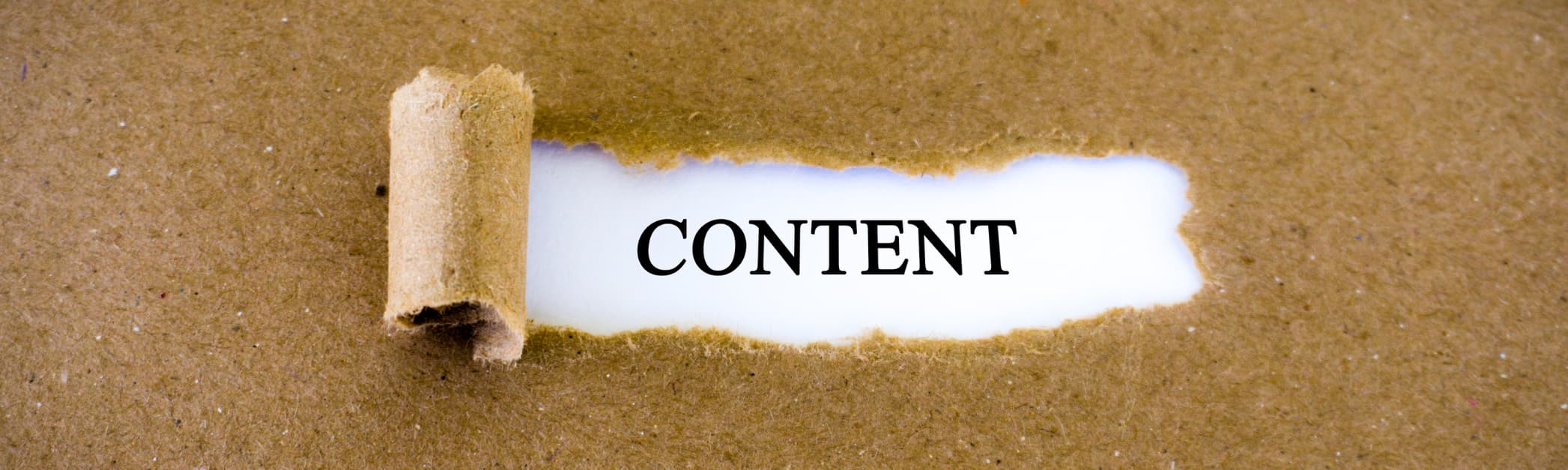 Content writer