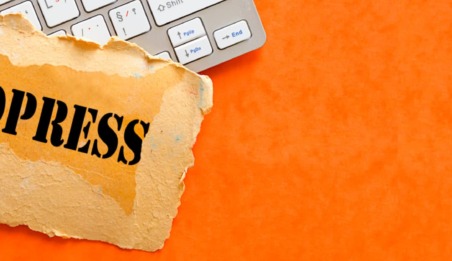 WordPress agency - dream-cms-system