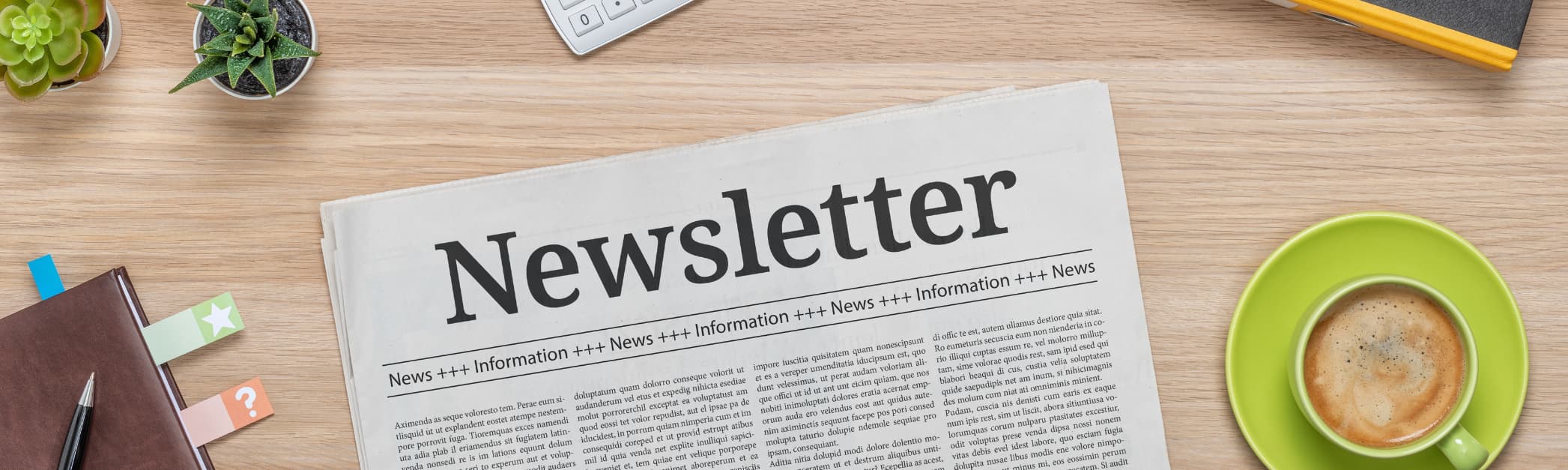 ONELINE-blog-standalone-newsletter