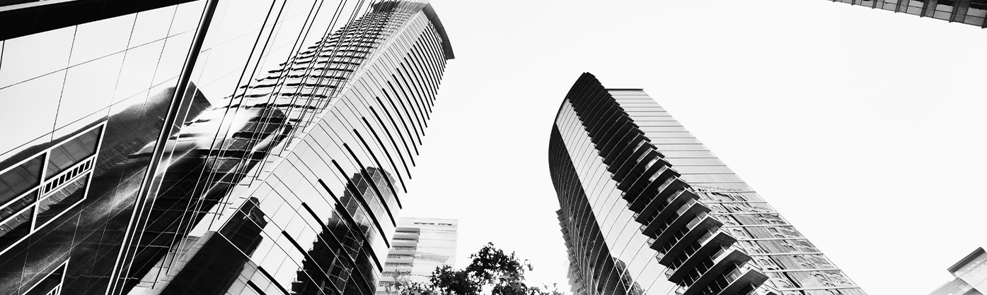 With the right SEO tools to the perfect website