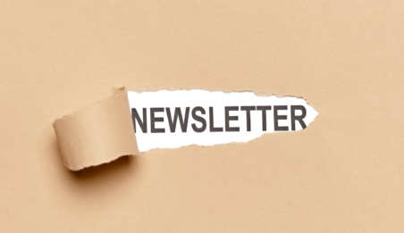 ONELINE Blog external newsletter