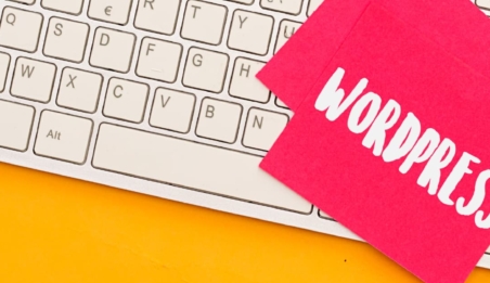 In which cases is it worth investing in a WordPress CMS?