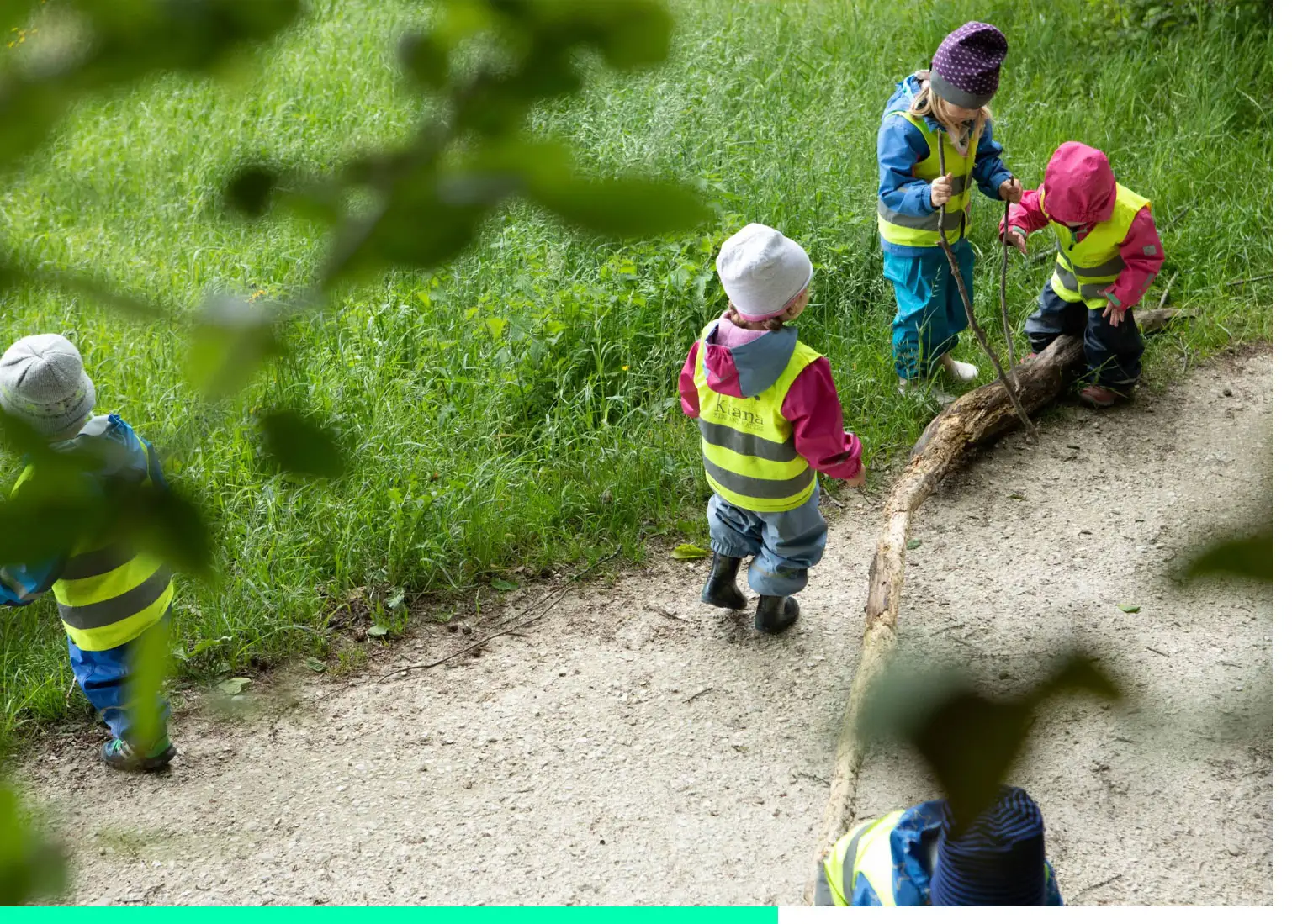 Kiana SEO Case Header