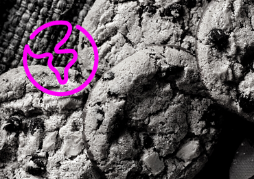 Digital Marketing without Cookies