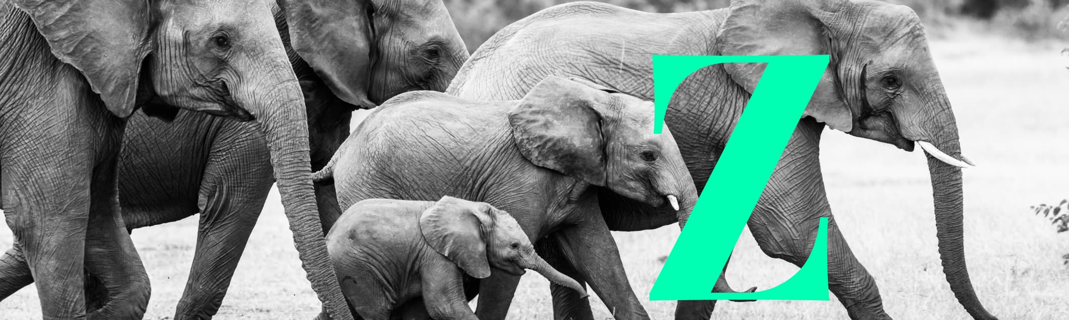 genz in online marketing