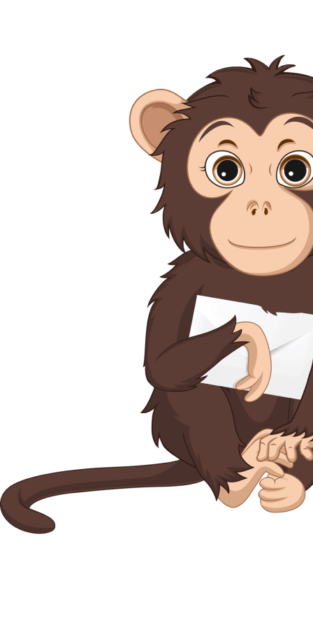 monkey-information__img-1