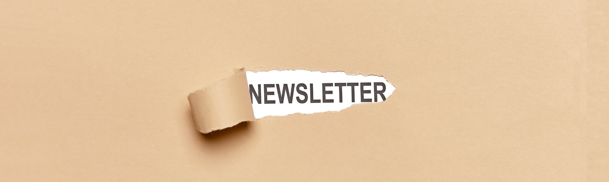 externe Newsletter-Kampagnen 2093x627px