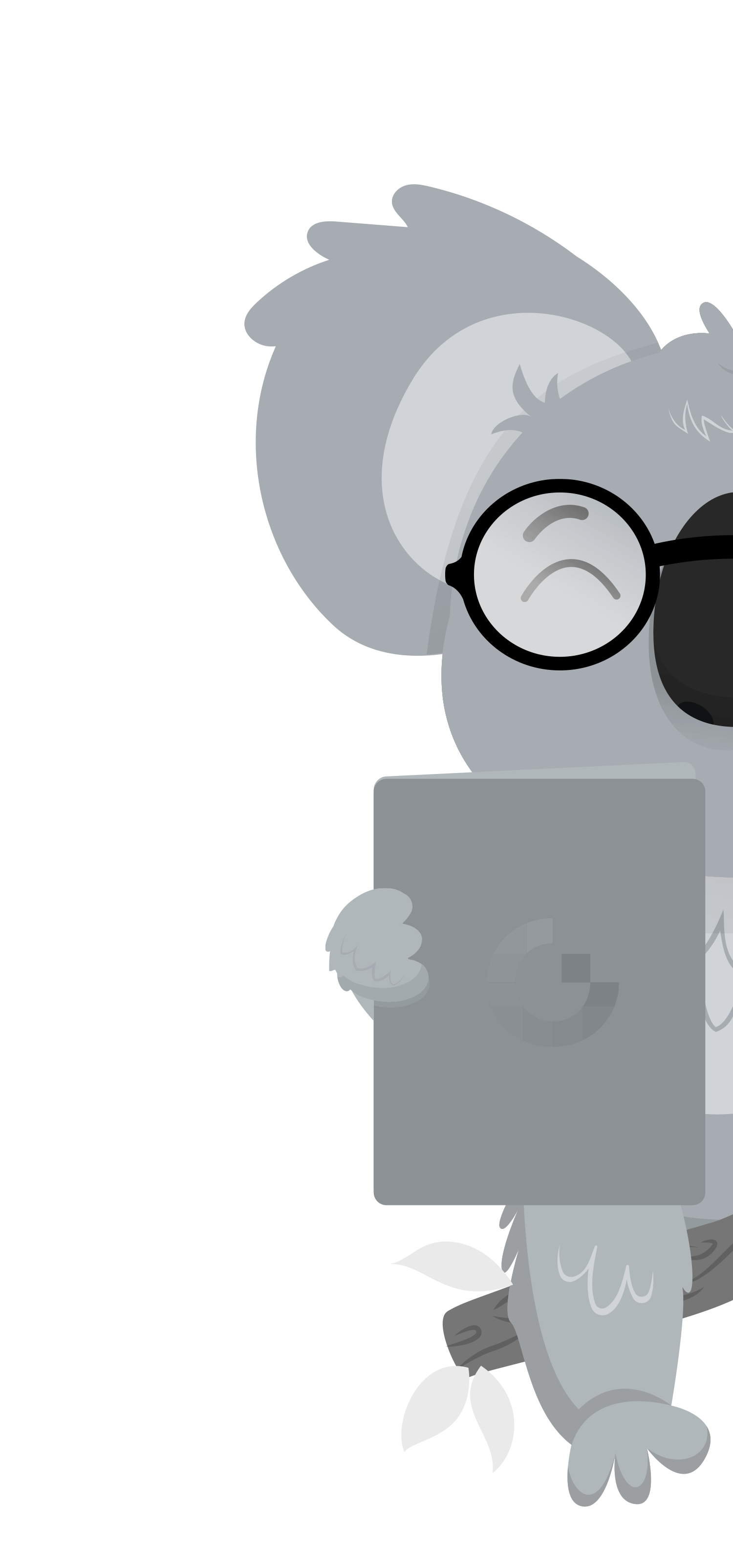 DigitalKoala Hauptbild