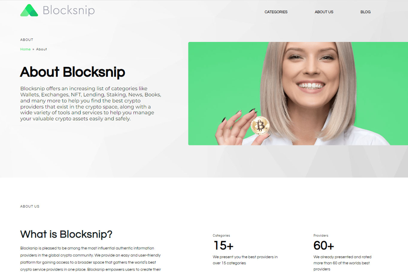 Blocksnip-Webdesign-Development