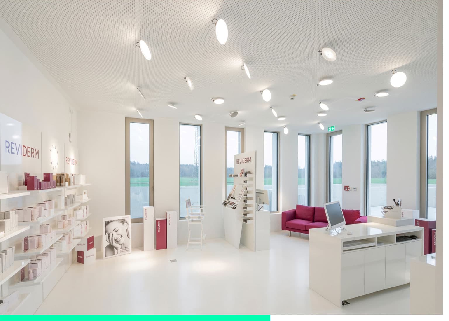 Reviderm Google Ads Case