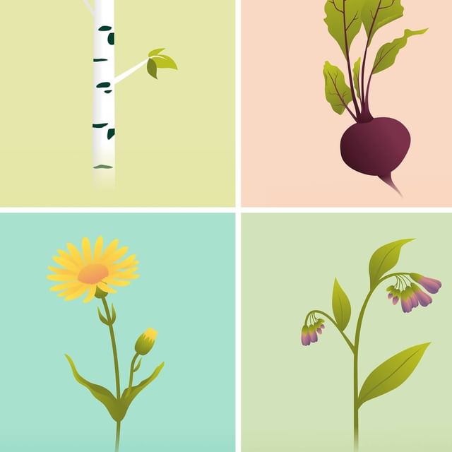 Clipart von Saner Apotheke