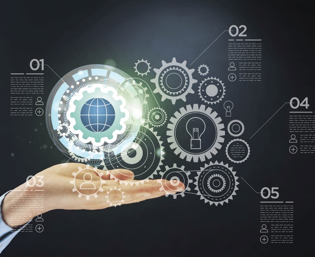 Web Development Belongings Development