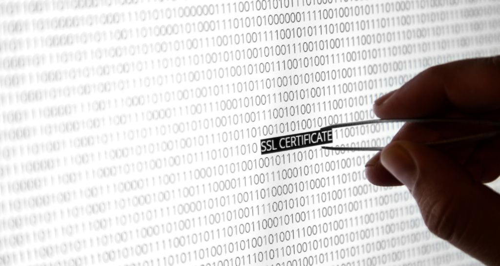 SSL Certificate Marking Screen