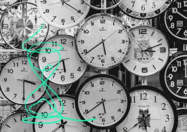 Selling Weasel Verweildauer einer Website