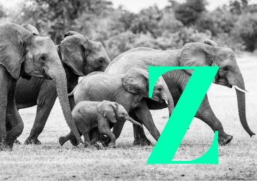 Generation Z und Online Marketing