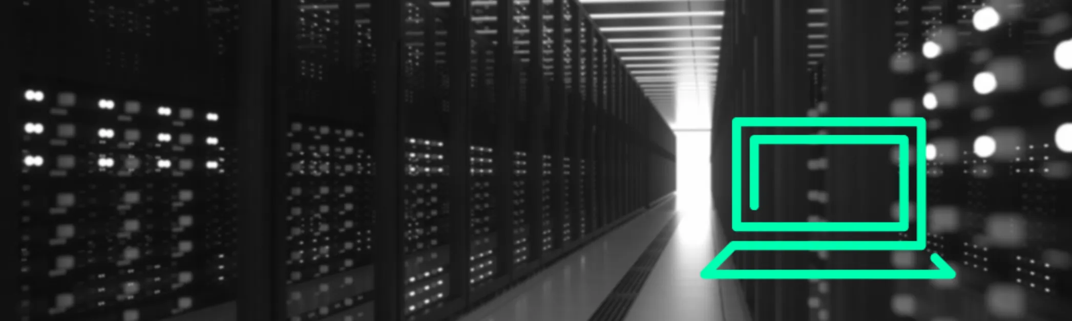 Hosting Anbieter für WordPress Webseite wählen