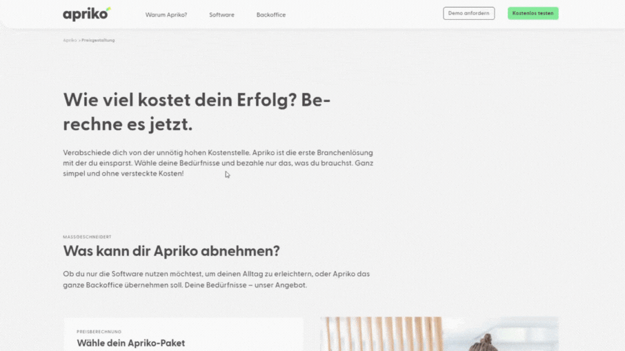 Web Development ONELINE X APRIKO