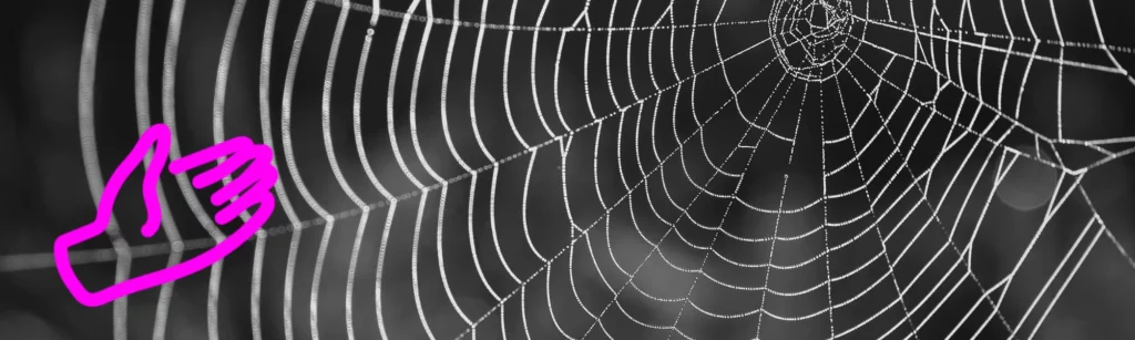 Partnerschaften für Lead-Generierung - Spinnennetz