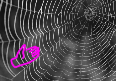 Partnerschaften für Lead-Generierung - Spinnennetz schwarz weiss